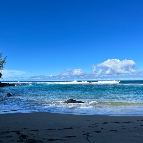 Meet your Posher, Priya - Picture 1 of 1